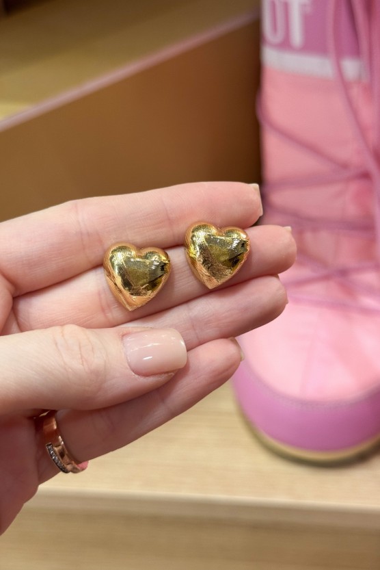 Σκουλαρίκια Greg gold